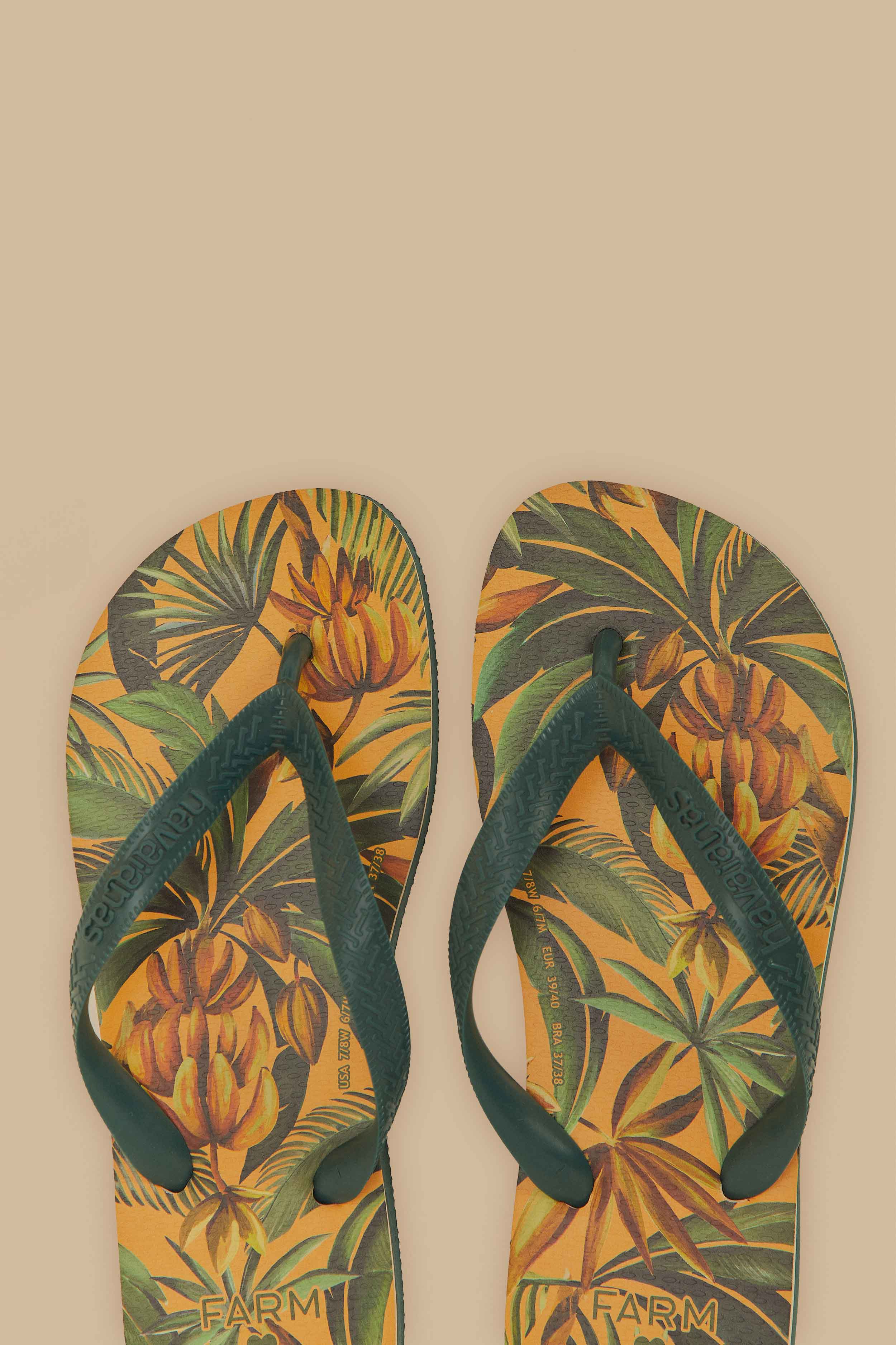 Bananart Havaianas - Image 3
