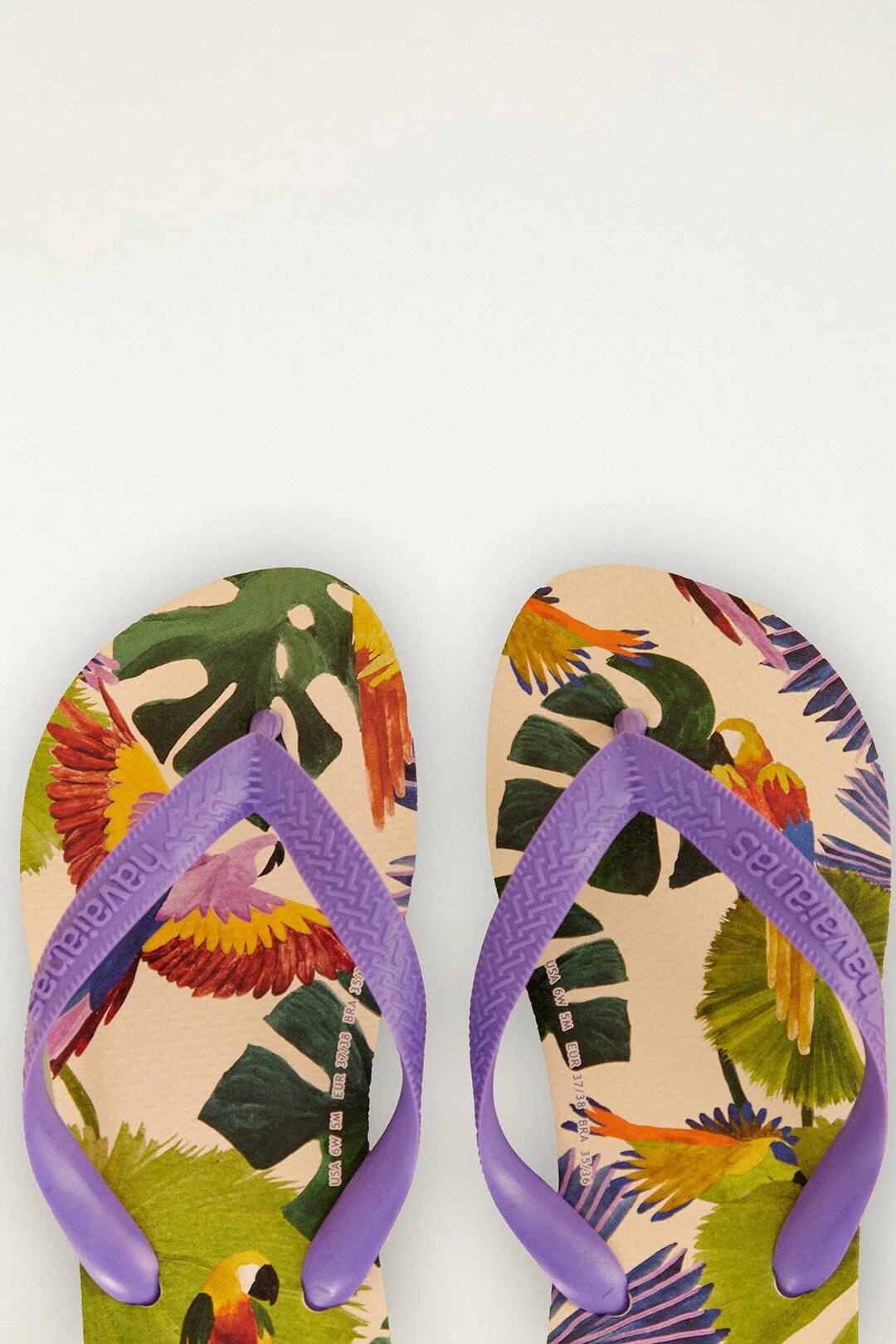 Farm Passaros Pintados Havaianas Sandals - Image 3