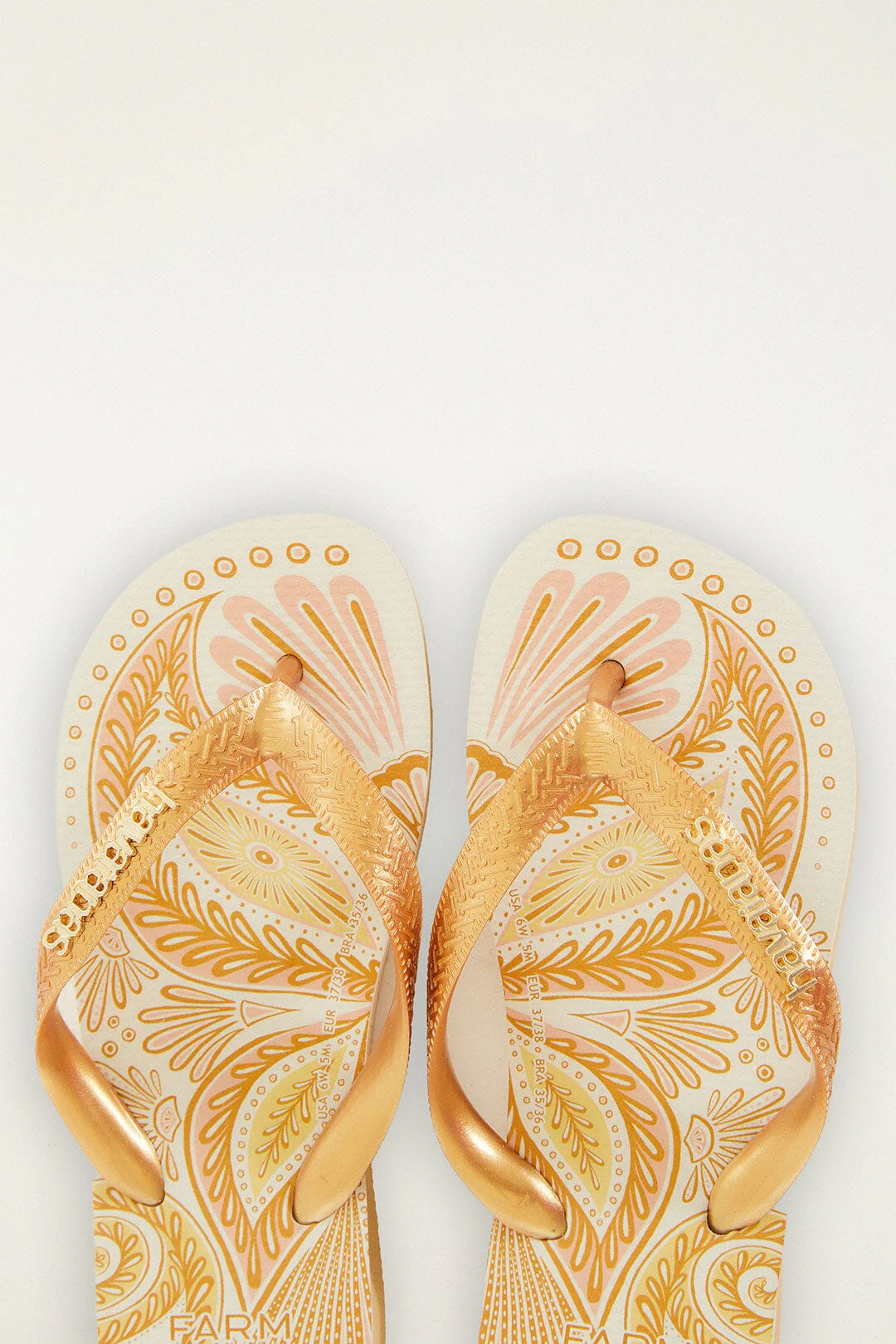 Papillon Havaianas - Image 3