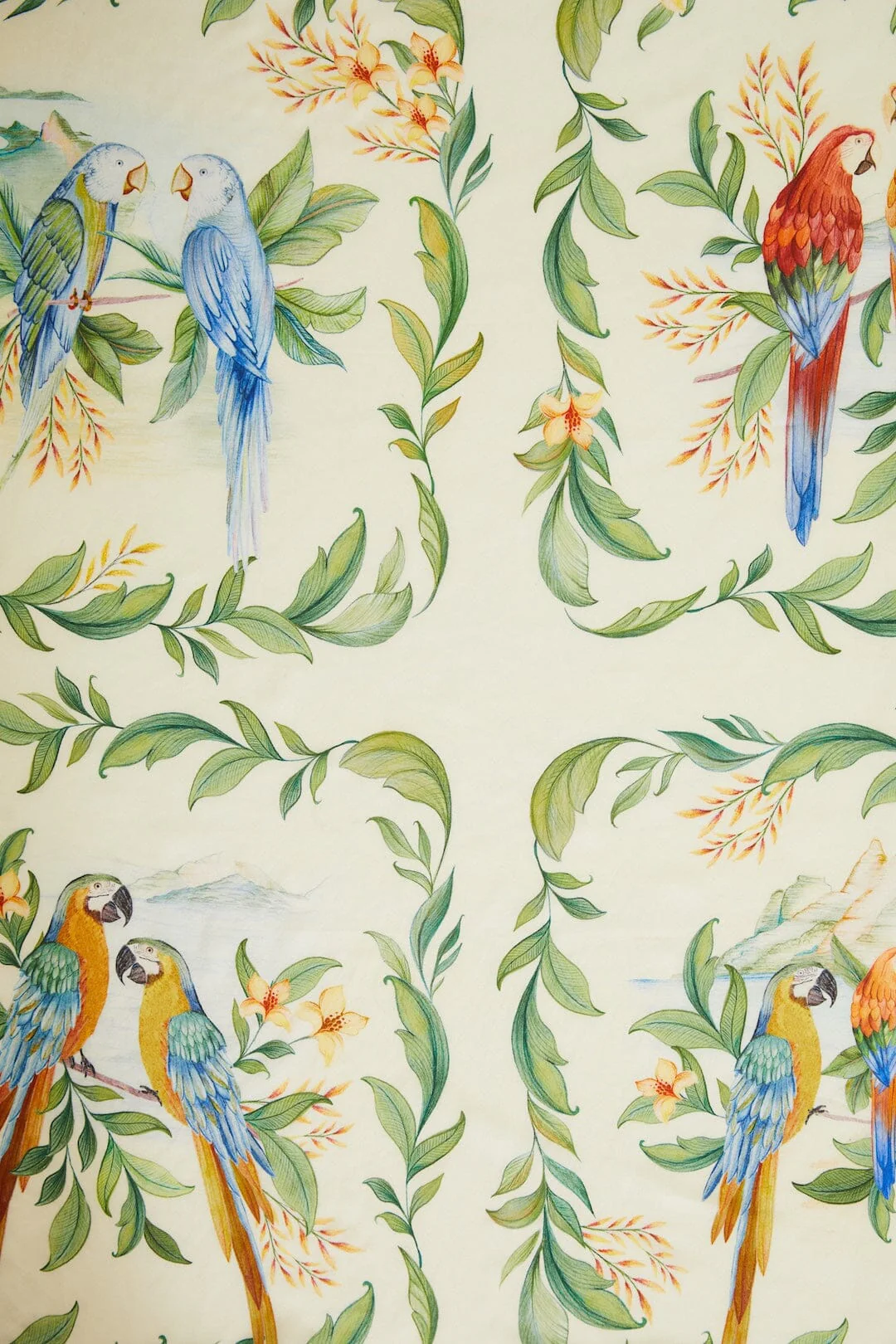 Retro Rio Birds - Image 3