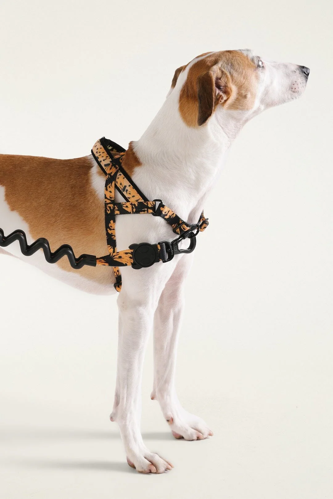 Zeedog Farm Bananas Softer Walk - Size S - Image 3