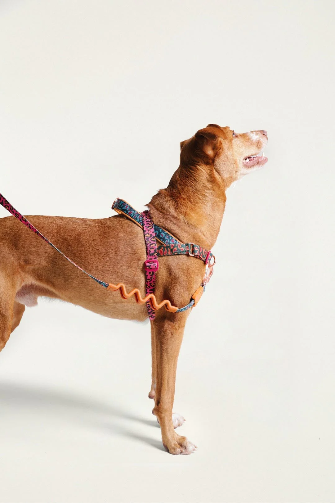 Zeedog Farm Onca Softer Walk - Size L - Image 3